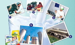 Milk Collection System