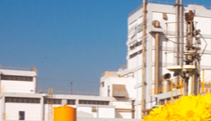 Sheikhupura Factory