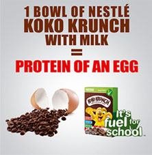Protein of an egg