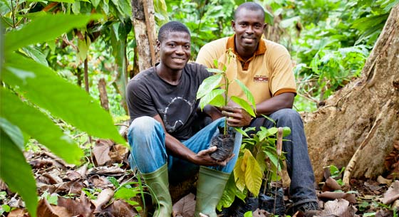 Nestlé sets out actions to address child labour