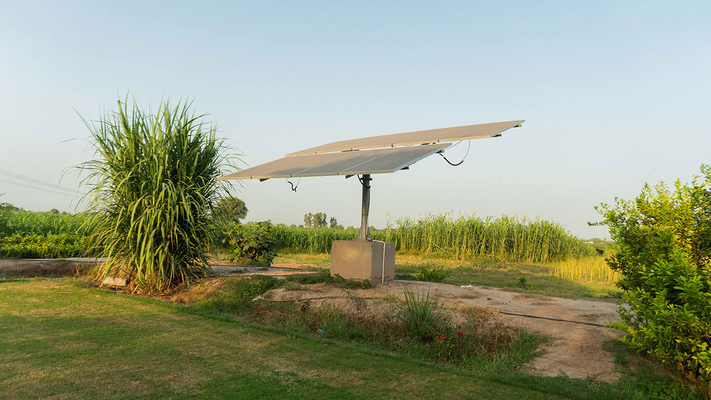 Environmental Sustainability in an Agrarian Economy