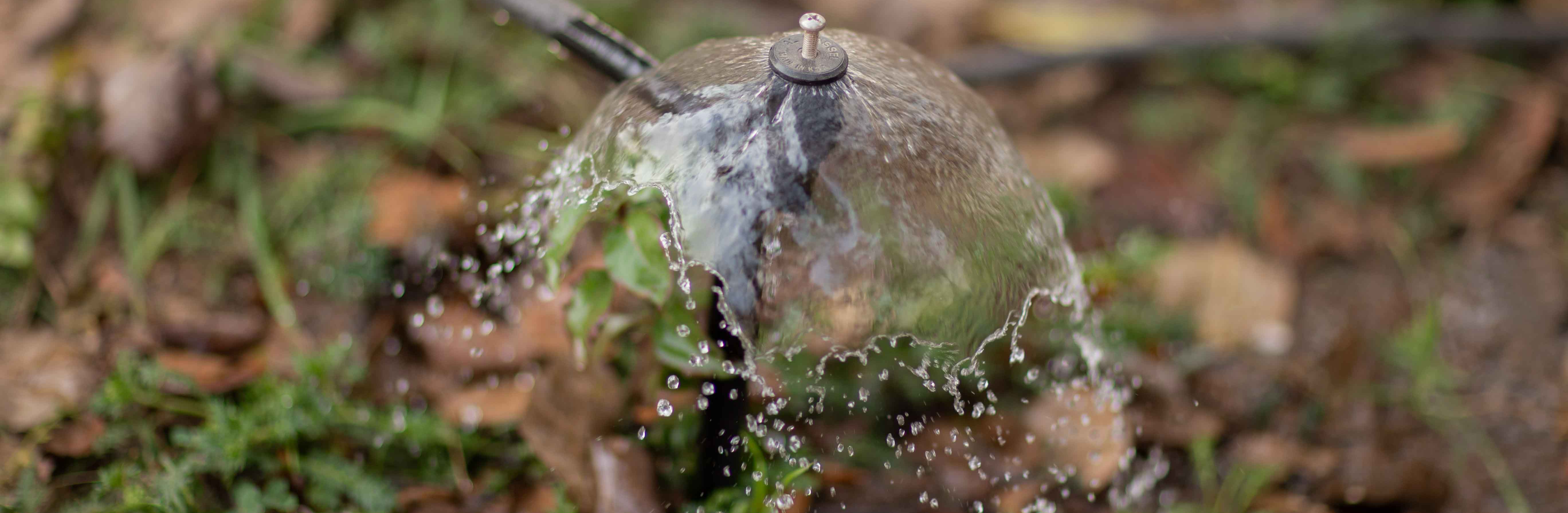 ‘What’ and ‘How’ of our Water Stewardship Efforts