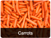 carrots.jpg