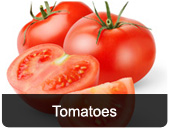 tomatoes.jpg