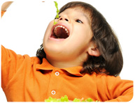 2-3 year olds