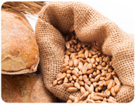 Fiber & Fluids