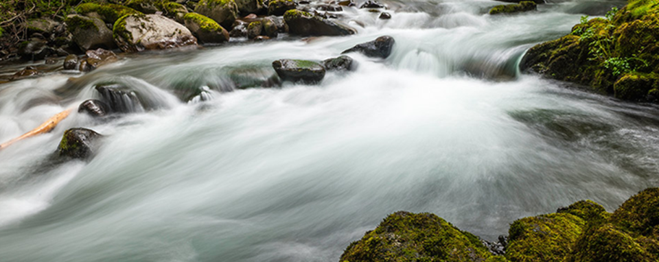 Caring For Water