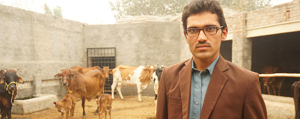 Empowering Dairy Farmers