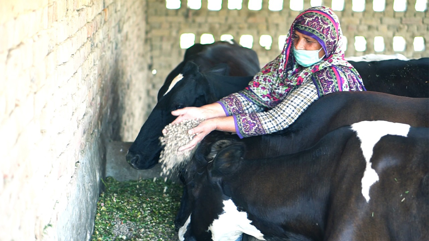 Empowering the Women Agripreneurs