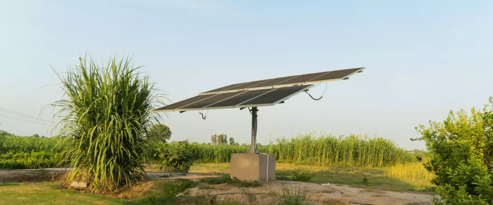 Environment Sustainability
