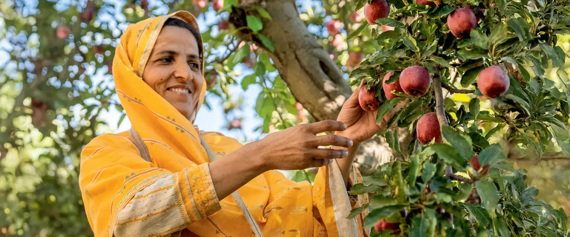 Creating Shared Value
