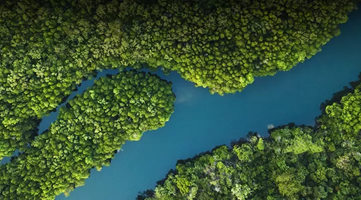 Alliance for Water Stewardship