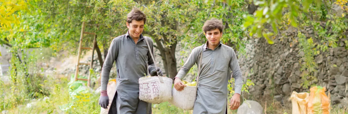 How Nestlé Pakistan supports apple growers in Gilgit Baltistan